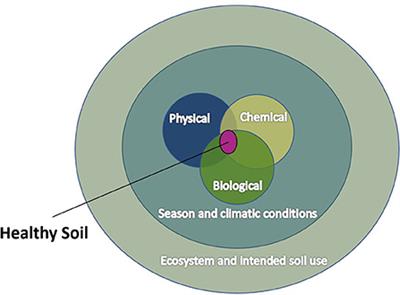 Editorial: Innovative agricultural practices to improve soil health and sustain food production